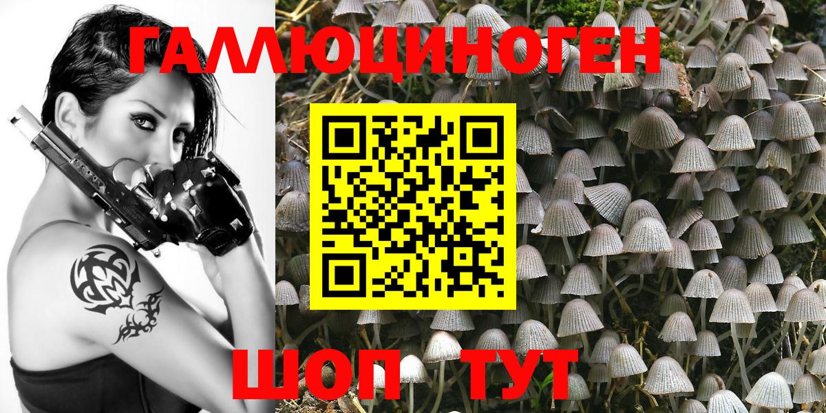 Энгельс  Псилоцибиновые грибы GOLDEN TEACHER  Псилоцибиновые грибы MAGIC MUSHROOMS  Вход с VPN 